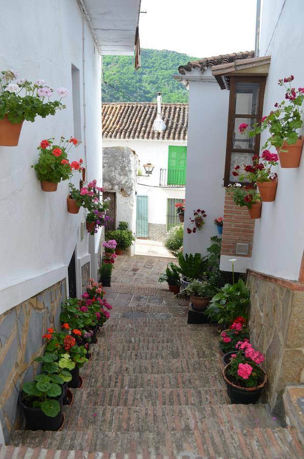 Casa La Puente Villa Jubrique Exteriör bild