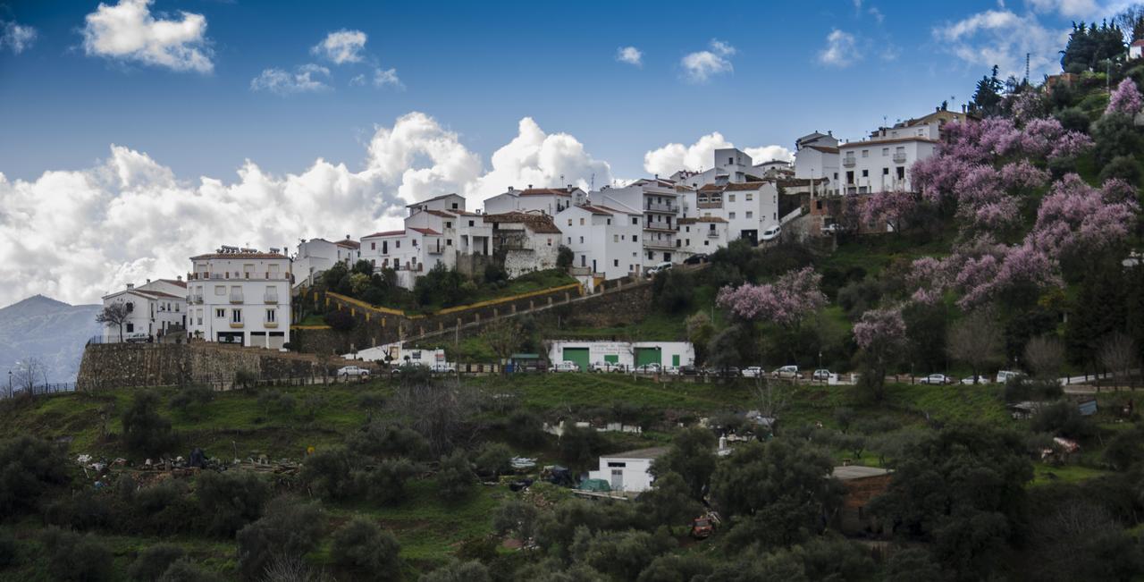 Casa La Puente Villa Jubrique Exteriör bild